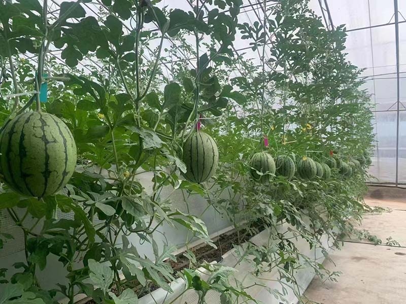 微信图片_20230814082354_2