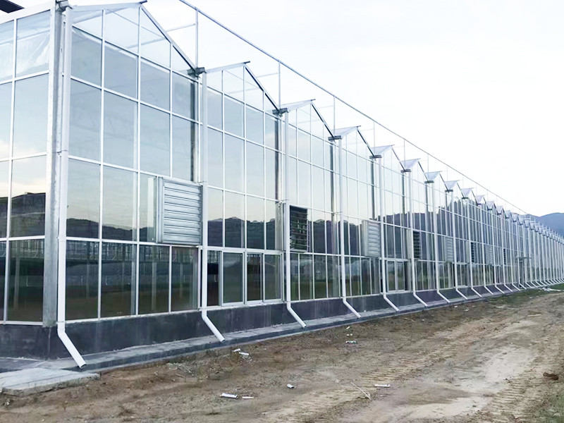 玻璃温室建造的过程中，有哪些建造的因素需要考虑